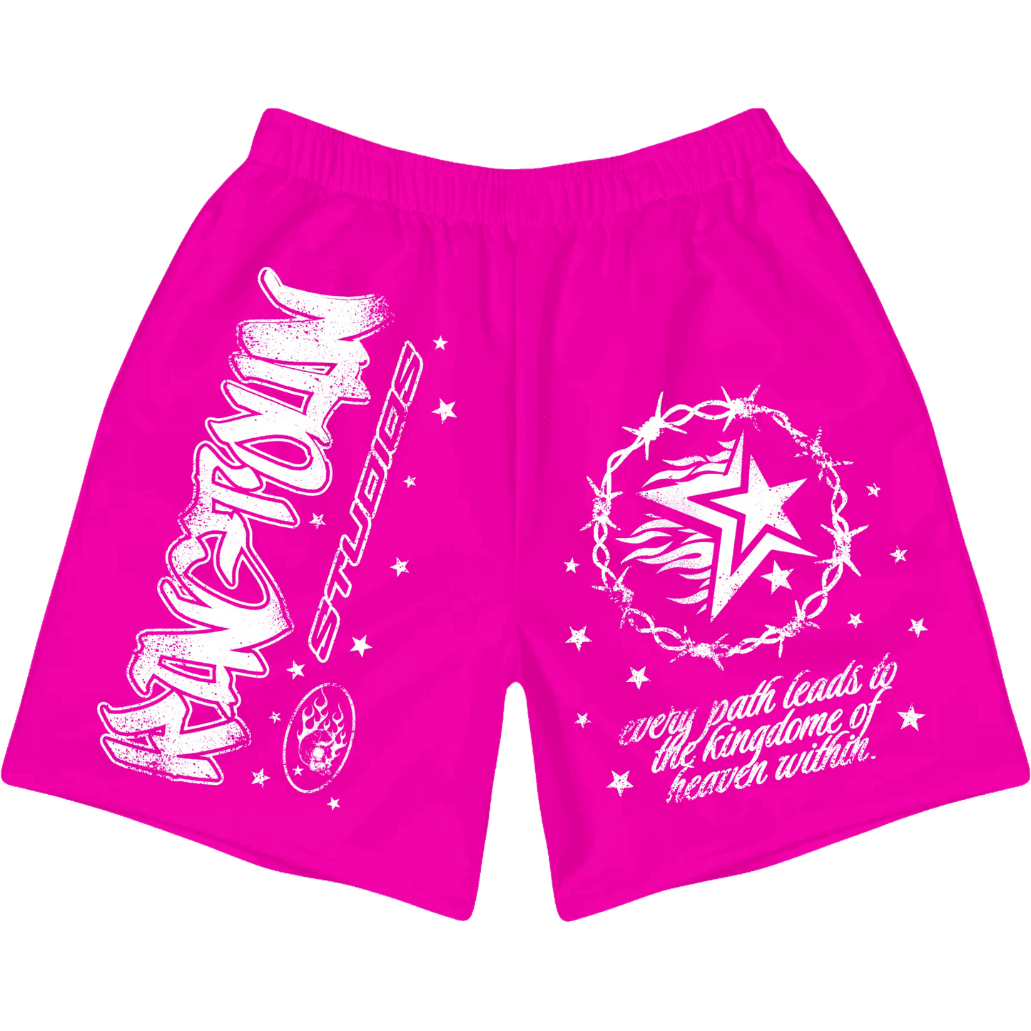 Pink Chase Your Dreams Shorts